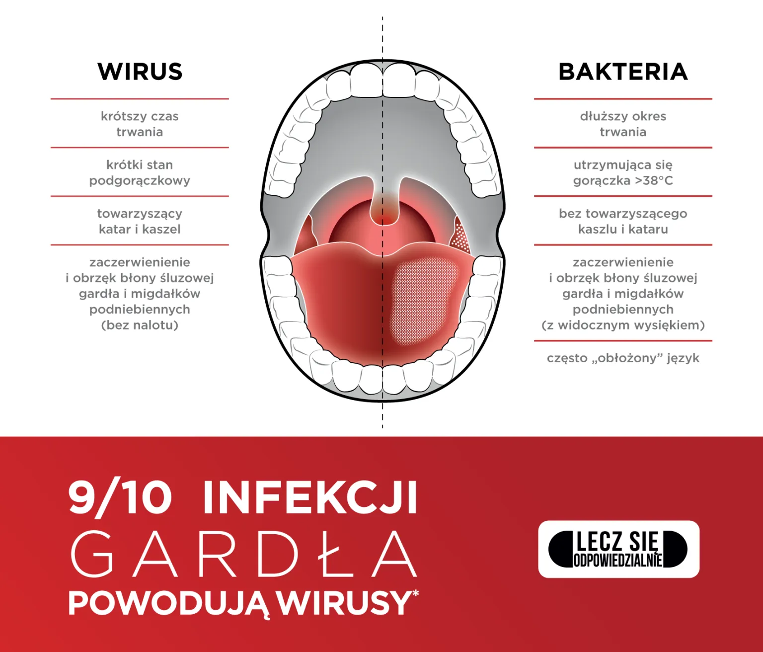 Wirus bakteria.png