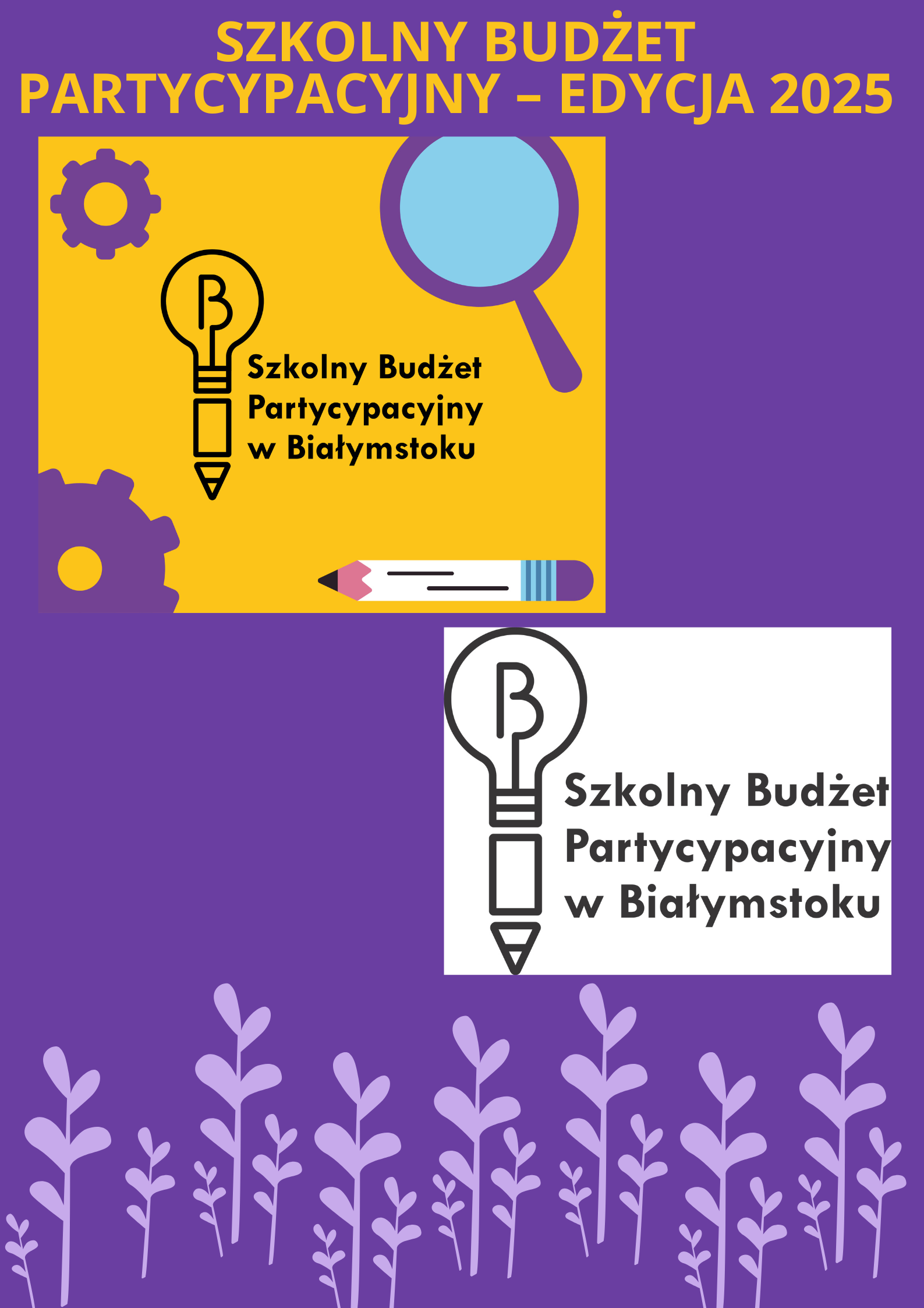 SBP 2025 - informacje ogólne.png