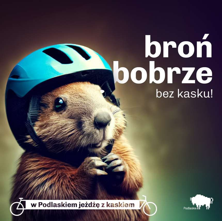 Kask.png