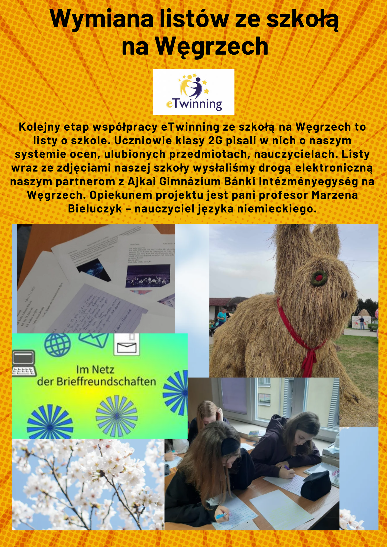 Niemiecki webinar.png